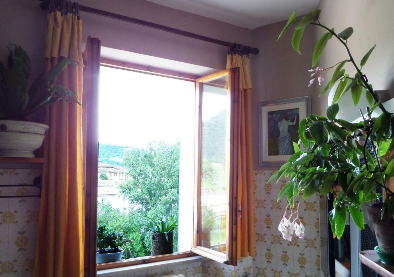 La Finestra sul Fiume Bed & Breakfast Fossombrone Exterior foto